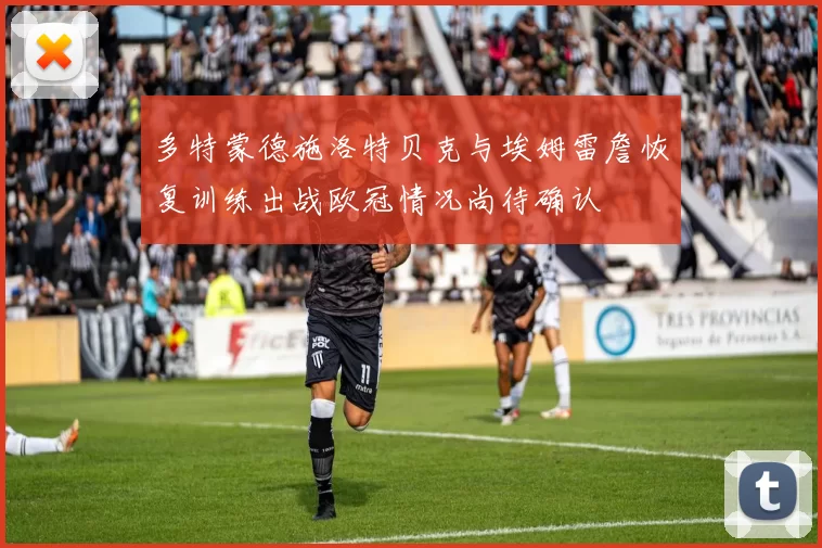 多特蒙德施洛特贝克与埃姆雷詹恢复训练出战欧冠情况尚待确认