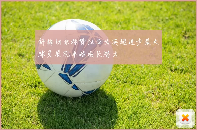 舒梅切尔称赞拉亚为英超进步最大球员展现卓越成长潜力