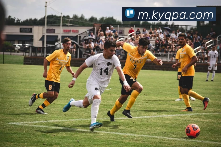 多媒体互动体验